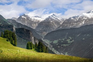 高山草甸间的壮丽雪山景