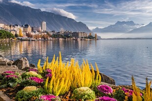 湖畔繁花与远山美景