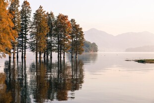 湖畔秋色树木倒映于湖面