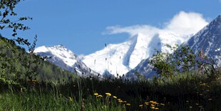 雪山下的多彩草地风光