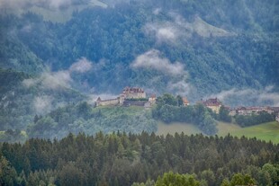 山间村落隐于葱郁林海