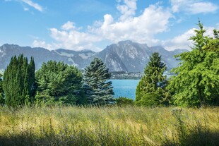 湖畔绿野与远山美景