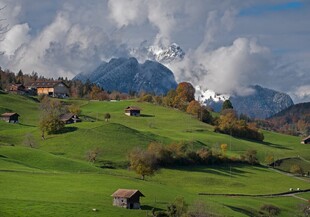 山间绿野与远处雪峰美景