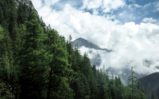 山林云海间的自然美景