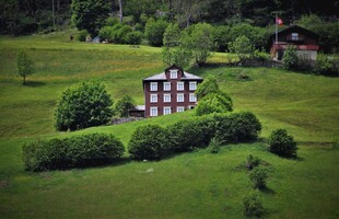 田园中的精致小屋