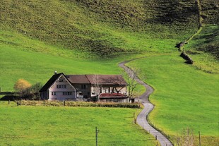 山间小屋蜿蜒小路伴绿野