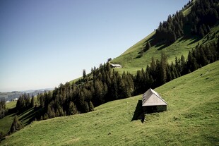 山间草坡上的小屋