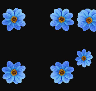 扎染花