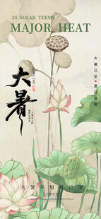 夏日荷花绽放美景