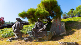 江西九江东林大佛浪子问津