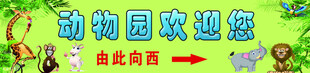 动物园