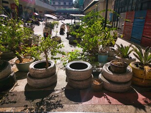 庭院中古朴的花盆与绿植
