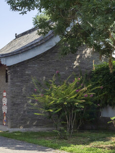 中式建筑旁的绿植