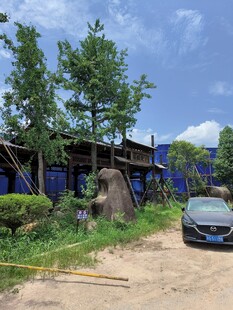 乡村庭院旁的蓝色建筑与车