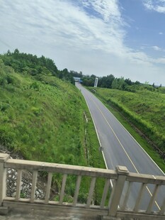 公路旁绿意盎然的田野风景