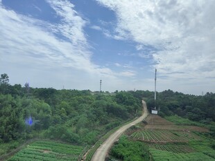 乡村田野间的蜿蜒小路