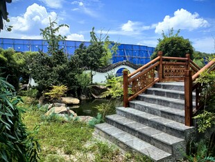 花园中式楼梯与绿植景观