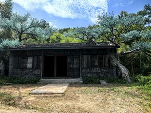 古朴木屋隐于葱郁林间