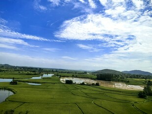 田园风光美景