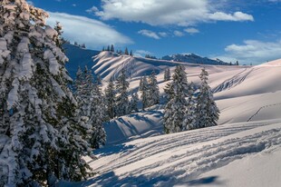 雪覆山林的冬日美景