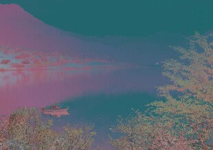 梦幻湖景中的多彩树木