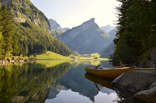 宁静湖畔的自然美景