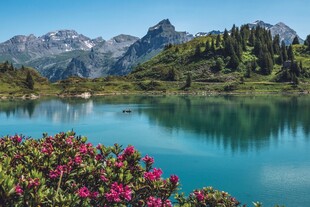 湖畔繁花映青山美景
