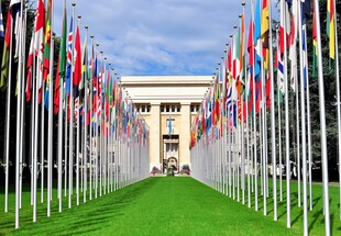 各国国旗林立的庄严场景