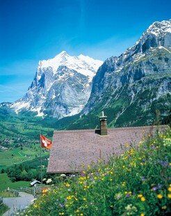 山间美景中的小屋