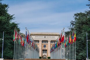 多国旗帜林立的庄严建筑
