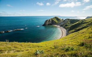 海岸美景绿意与碧海相映