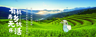 山野风