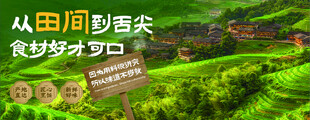 山野风
