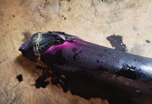 烧焦变色的破损物体
