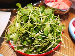 新鲜豌豆苗