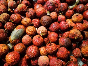 新鲜饱满的荔枝果实