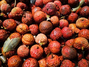 新鲜饱满的荔枝果实