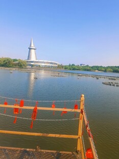 绿博园湖畔白塔美景