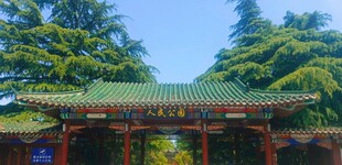 中式古建门楼 绿树环绕