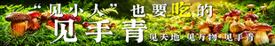菌子炒饭