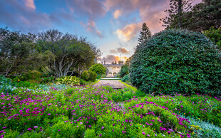 梦幻花园美景