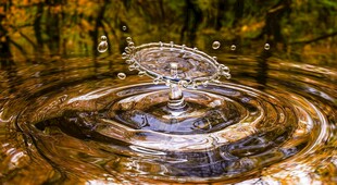 水滴入水泛起层层涟漪
