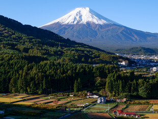 富士山下的田园风光