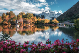 湖畔繁花映美景