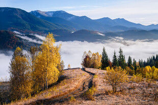 秋日山间云海美景