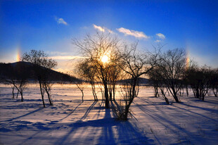 冬日雪野夕阳下的静谧景象