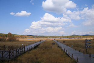 田园风光中的木栈道美景