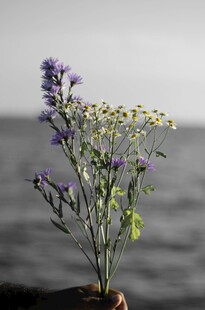 手持花束于海边的浪漫景象