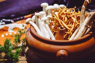 菌类食材