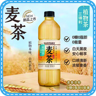 麦茶饮品展示健康好滋味